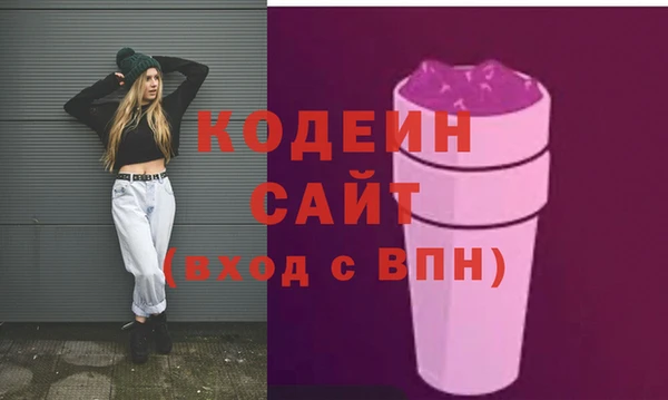 шишки Богородицк